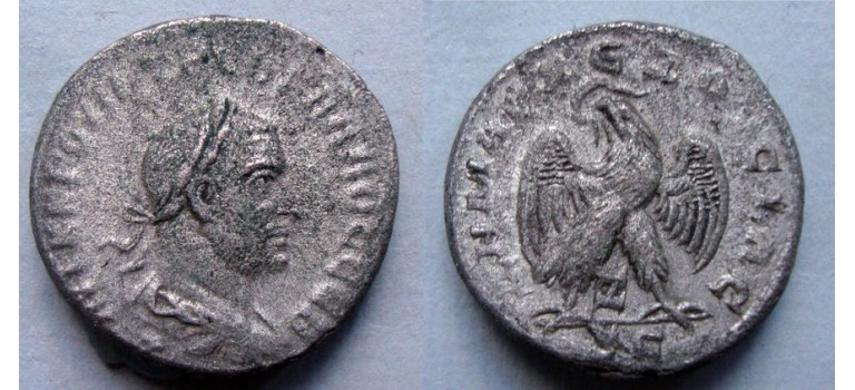 Trebonianus Gallus - EAGLE TETRADRACHM (D2022) Trebonianus Gallus - EAGLE TETRADRACHM (D2022)