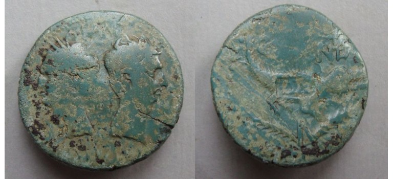 Augustus and Agrippa AS crocodile dupondius SCARCE  (D2037)