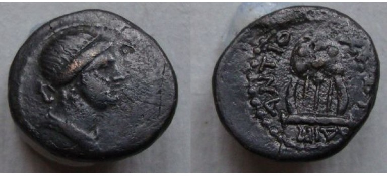 NERO - Apollo Chelys Antioch (D2062)