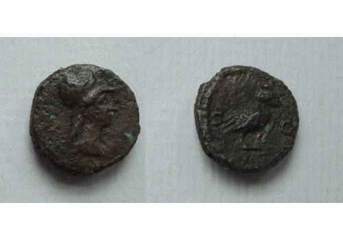 Domitianus/Antoninus Pius - quadrans Minerva en uil zeldzaam! (D21151)