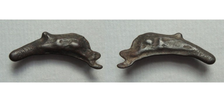 Dolphin Money Olbia (JA2231)