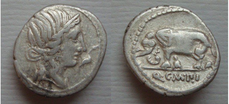 Metellius Pius  - denarius Elephant (JA22106)