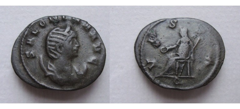 Salonina - VESTA (JA2219)