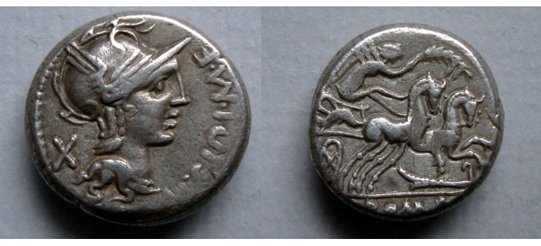 Romeinse republiek - denarius Marcus Cipius vierspan 115-114 v. Chr. (JA2276)
