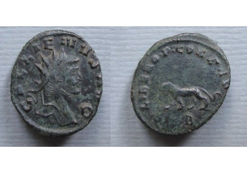Gallienus-  Tijgerin 'Zoo-serie' (o2084)