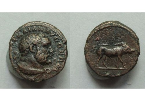 Trajanus- quadrans Hercules (JUN2021)
