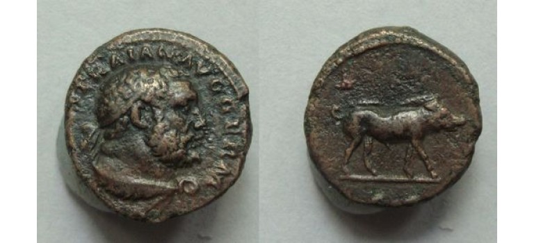 Trajanus- quadrans Hercules (JUN2021)
