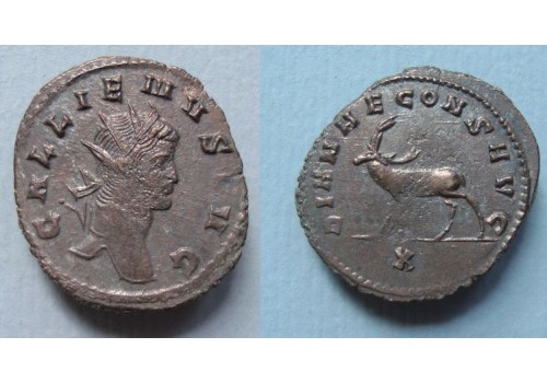 Gallienus -  Hert 'Zoo-serie' (JUn2084)