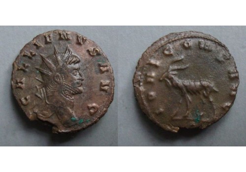 Gallienus - GOAT beauty! (JUN2069)