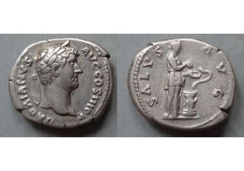 Hadrianus  - SALUS AVG (S2085)