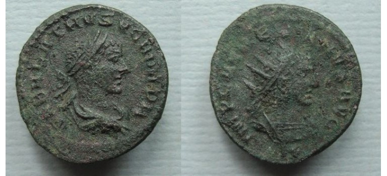 Vabalathus scarce (JUL2004)