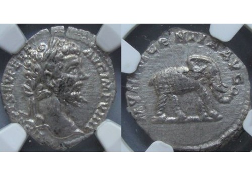 Septimius Severus - OLIFANT schaars (JUL2019)
