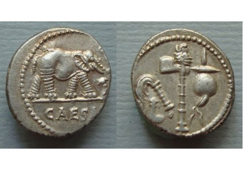 Julius Caesar denarius OLIFANT gezocht ex-Mieke Zilverberg! (JUL2023)