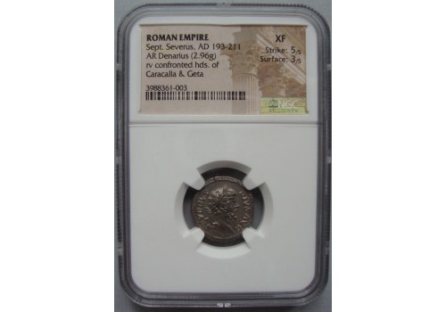 Septimius Severus - Caracalla and Geta very rare! (JUN20116)
