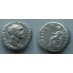 Vespasianus  - PAX (AP2024)