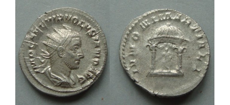 VOLUSIAN - JUNO RARE ex-Lanz (AP2044)