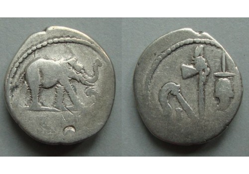 Julius Caesar denarius OLIFANT gezocht! (AP2049)
