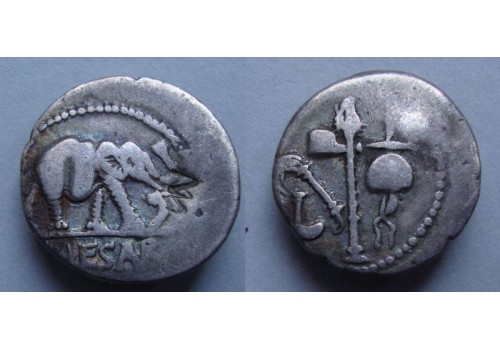 Julius Caesar denarius OLIFANT gezocht! (MA2053)