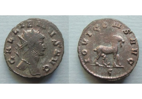Gallienus -  GEIT naar rechts ZOO-serie (ME2047)