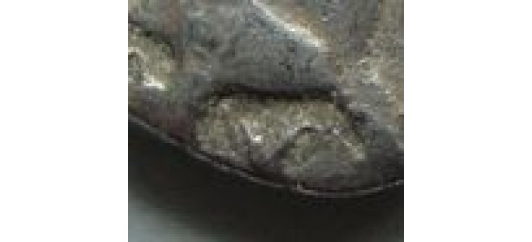 Vitellius - denarius FIDES met historische klop bijzonder! (ME2017)