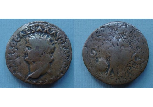 Nero - Victoria uit Lyon! (AU2051) Nero - Victoria uit Lyon! (AU2051)