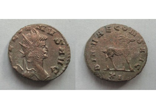 Gallienus-  Antilope 'Zoo-serie' (AP2118)