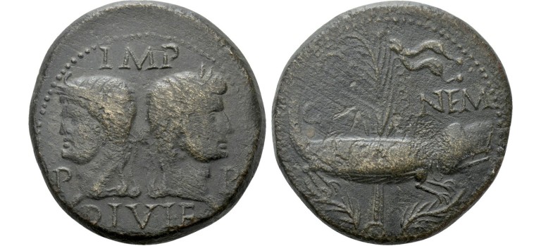 Augustus en Agrippa AS - Krokodil! (MA2132)