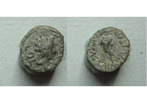 Augustus - Quadrans uit Cabellio zeer zeldzaam! (MA2152)