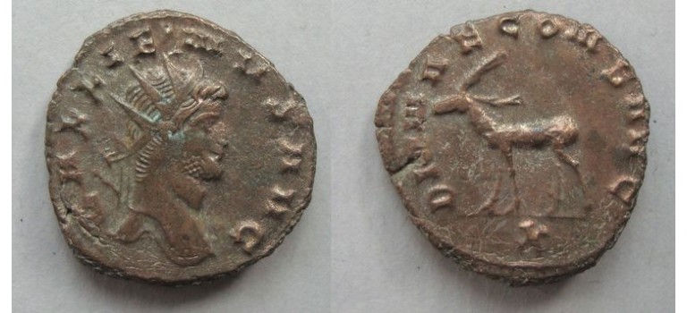 Gallienus -  Hert 'Zoo-serie' (AP2121)