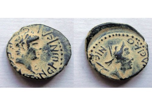 Nero - Perseus zeldzaam! (AP2140)