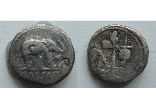 Julius Caesar denarius OLIFANT gezocht! (JUL2172)