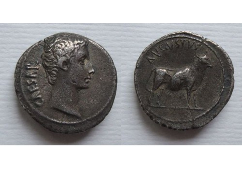 Augustus - denarius stier Pergamon  (JUN2187)