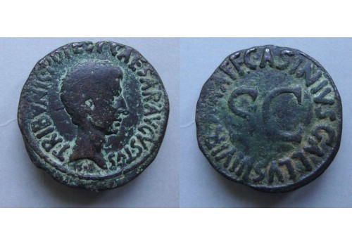 Augustus - Muntmeester uitgave Asinius Gallus! zeldzaam (ME2169)