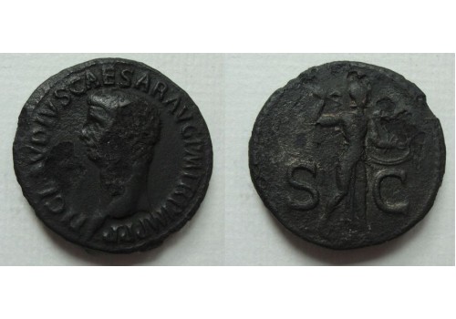 Claudius AS -  Minerva (S2101)