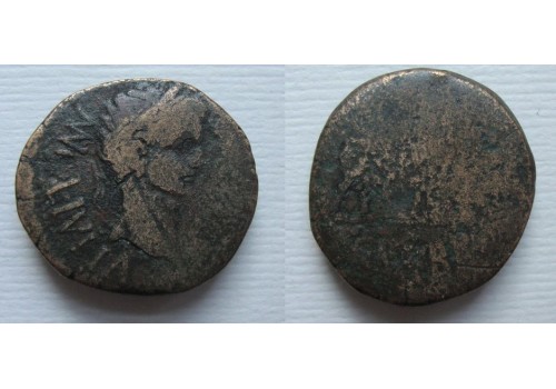 Augustus - Calagurris Stier (N2133)