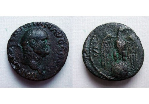 Vespasianus  - AS Adelaar! (N2171)