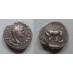 Domitianus - keerzijde Wolvin en Remus en Romulus! (O2154)