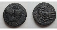 Augustus and Agrippa AS crocodile dupondius SCARCE  (O2138)