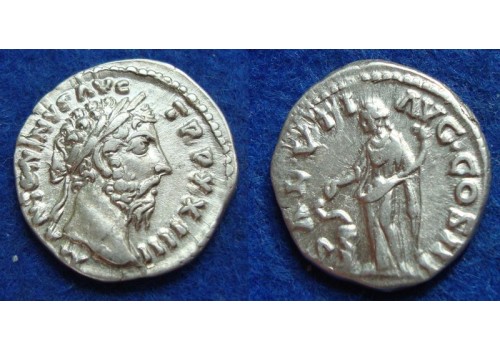 Marcus Aurelius - Salus mooi portret! (01921) Marcus Aurelius - Salus mooi portret! (01921)