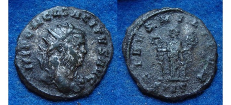 Tacitus - FIDES extremely rare bust with aegis (01924)