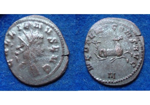 Gallienus-  Zeepaardje  'Zoo-serie' (N1912)