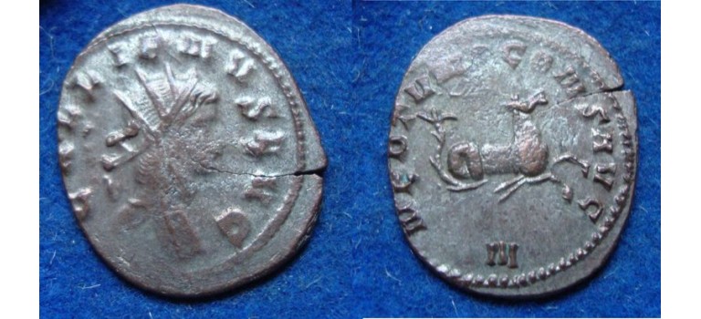 Gallienus-  Zeepaardje  'Zoo-serie' (N1912)