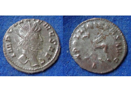 Gallienus-  Griffioen 'Zoo-serie' (N1914)