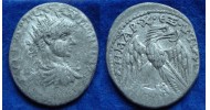 Diademenian  -  RARE CAESAR Eagle! (N1969)