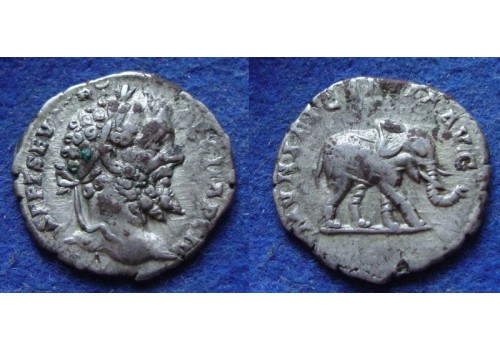 Septimius Severus - OLIFANT schaars (N1979)