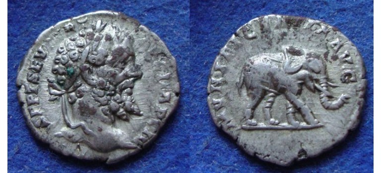 Septimius severus - ELEPHANT (N1979)