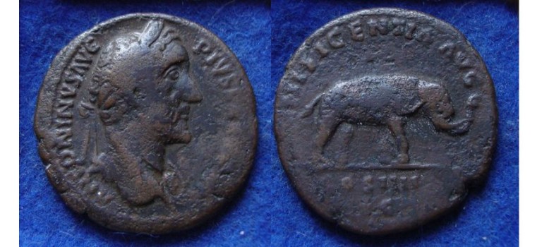 Antoninus Pius- AS olifant schaars ex. G. Henzen!   (N1981)