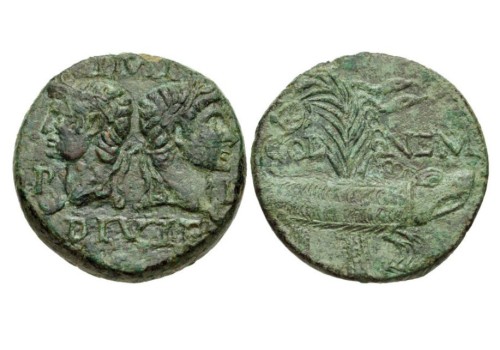 Augustus en Agrippa AS - Krokodil Dupondius schaars ex-CNG (D1912)