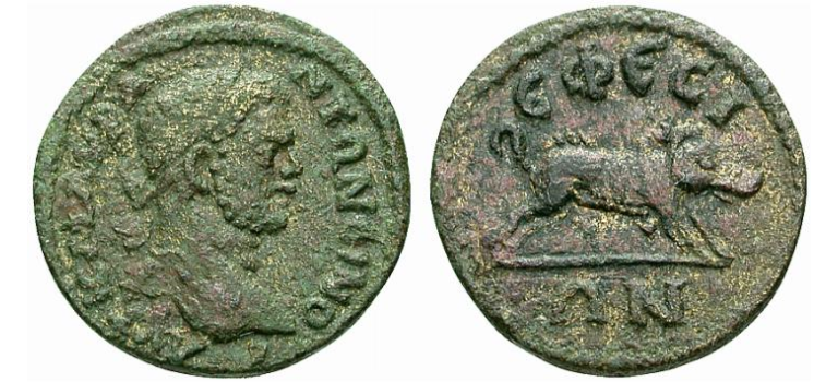 Caracalla -  Calydonisch zwijn EFEZE  ex-M&M! (D1935)