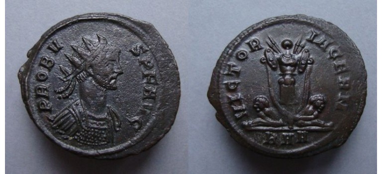 Probus- VICTORIA GERM (JA2013)